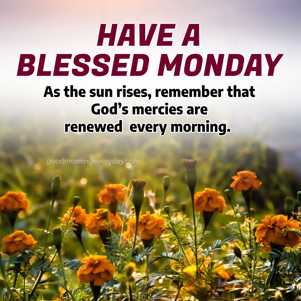 Blessed Monday Good Morning