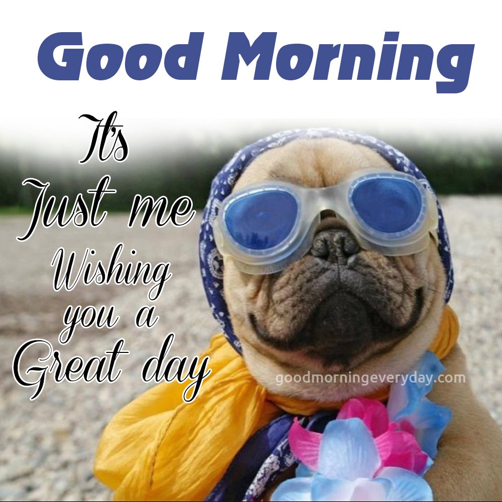 Good Morning Dog Funny